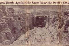 Devils-elbow